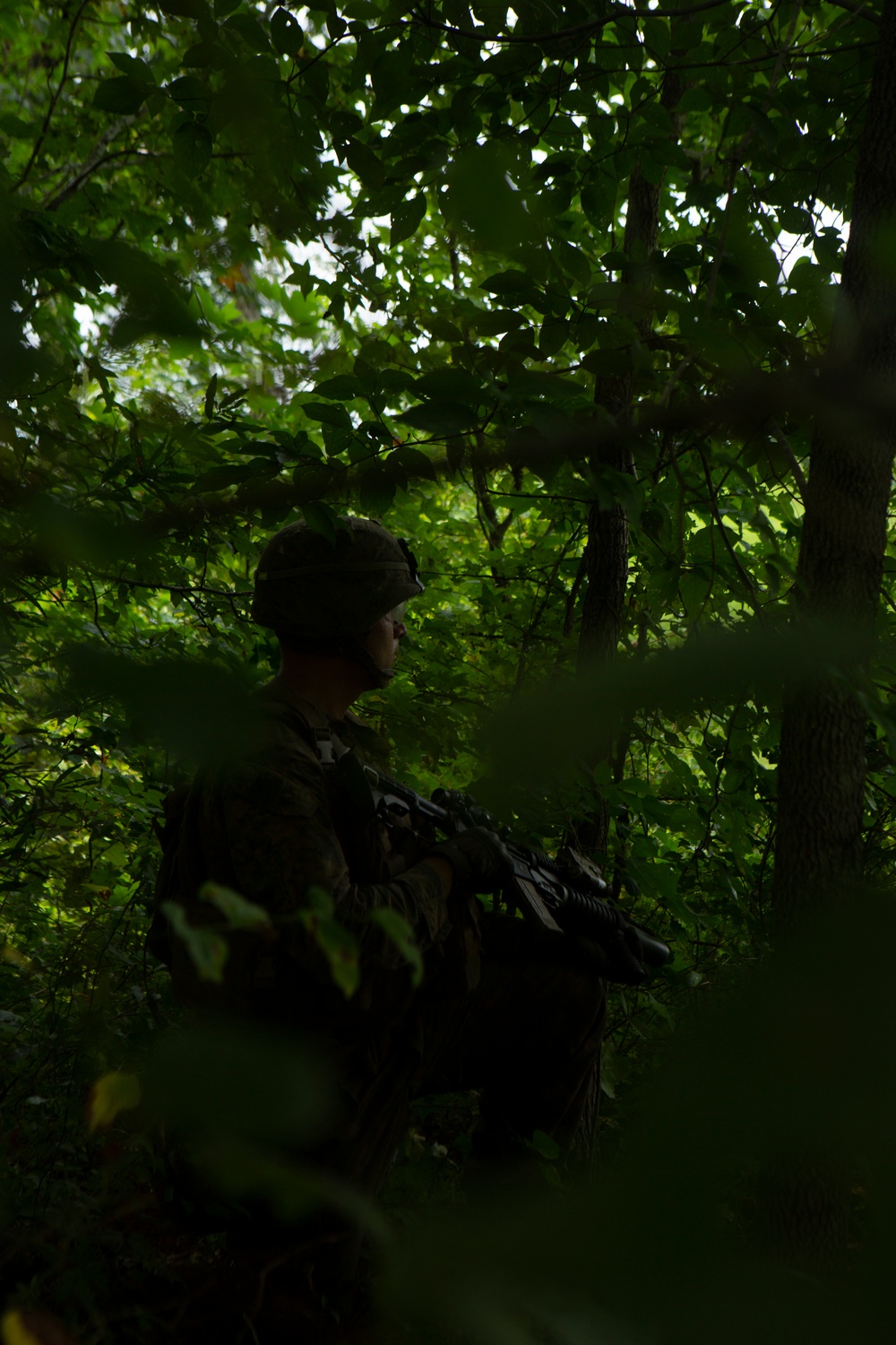 2nd Light Armored Reconnaissance Battalion conducts Deployment for Training