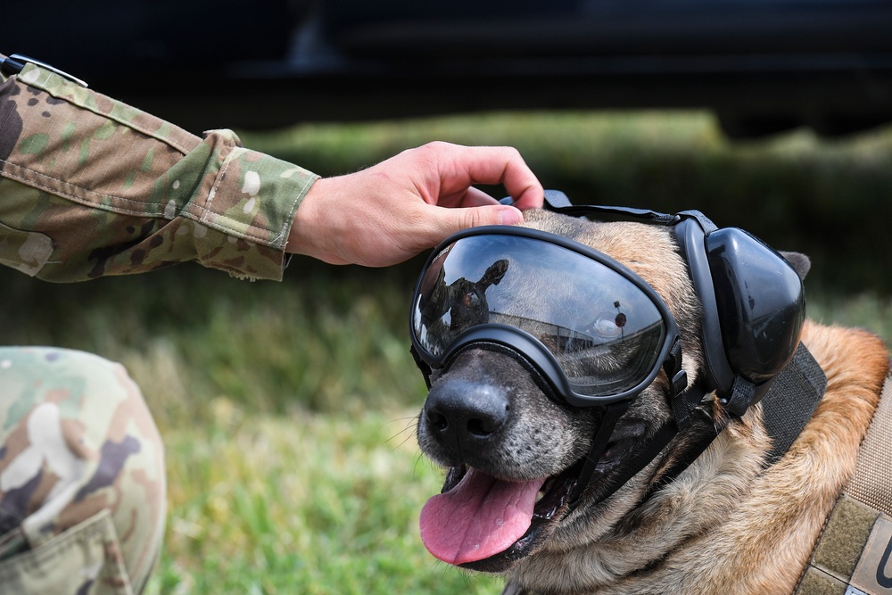 5th SFS MWDs fly with 54th Helicopter Squadron