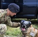 5th SFS MWDs fly with 54th Helicopter Squadron