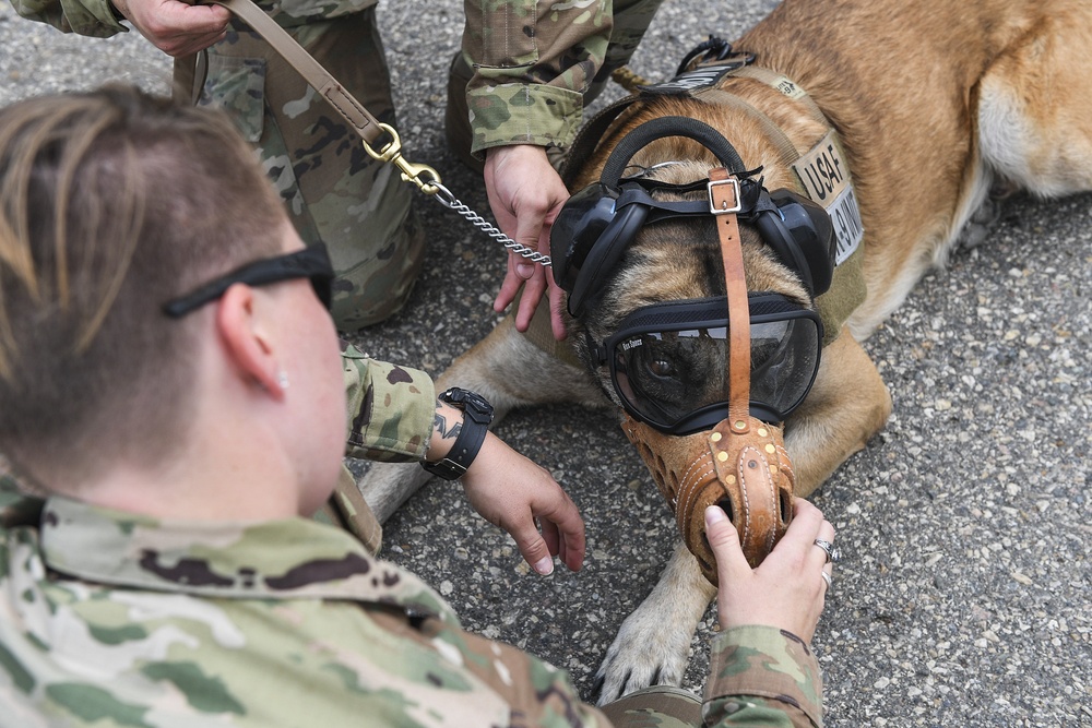 5th SFS MWDs fly with 54th Helicopter Squadron