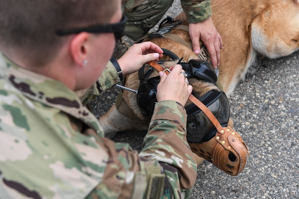 5th SFS MWDs fly with 54th Helicopter Squadron