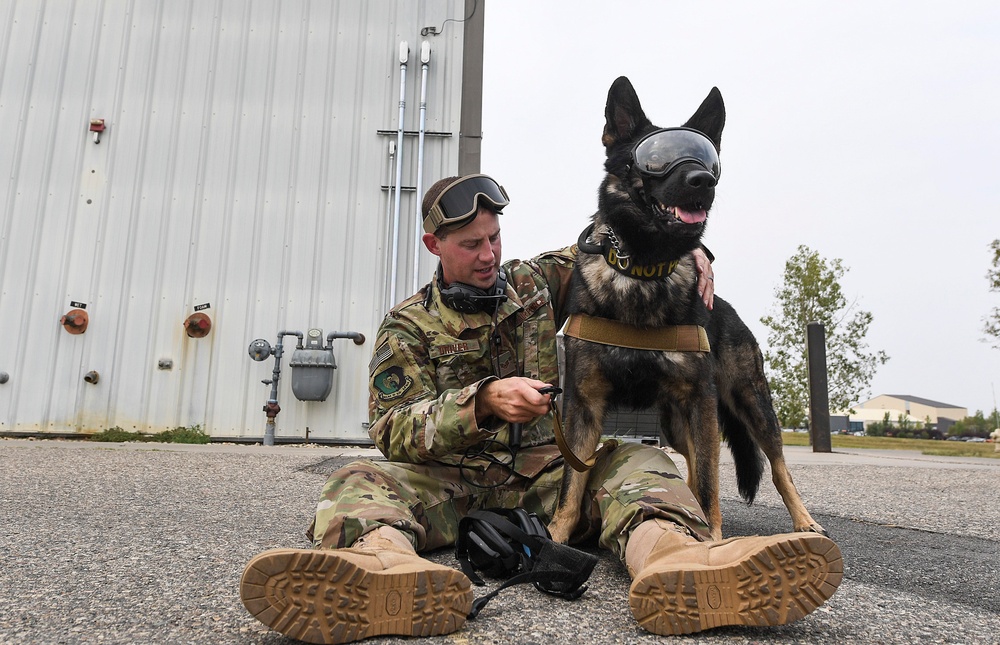 5th SFS MWDs fly with 54th Helicopter Squadron