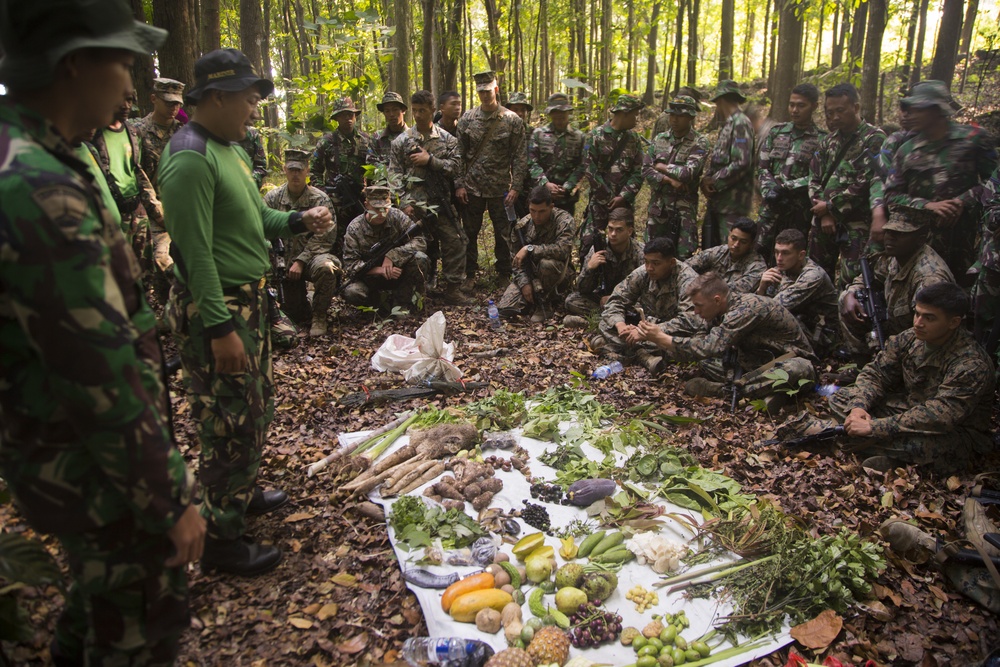 Platoon Exchange 2018 Jungle Survival Training