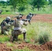 116th Cavalry Brigade Combat Team, Royal Thai Army conduct live-fire