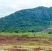 116th Cavalry Brigade Combat Team, Royal Thai Army conduct live-fire