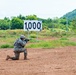 116th Cavalry Brigade Combat Team, Royal Thai Army conduct live-fire