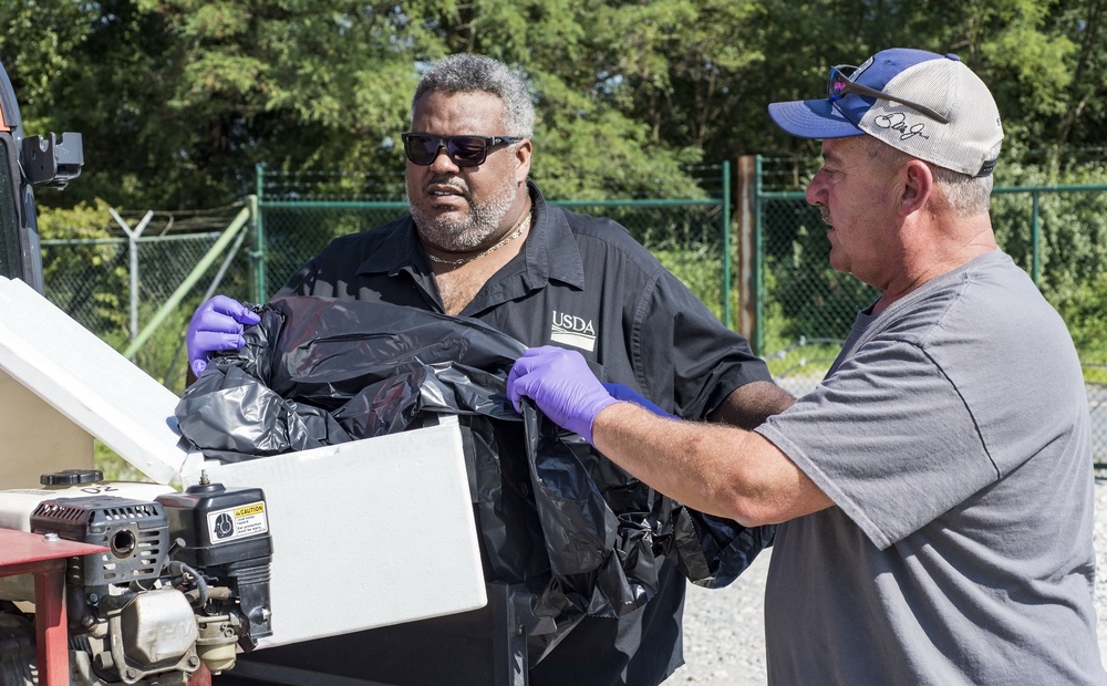 USDA, Dover AFB partner for Japanese beetle infestation control test