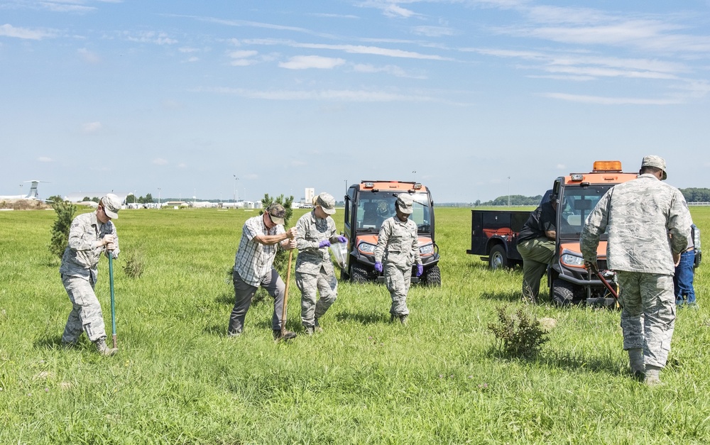 USDA, Dover AFB partner for Japanese beetle infestation control test