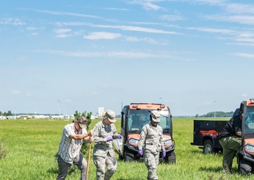 USDA, Dover AFB partner for Japanese beetle infestation control test