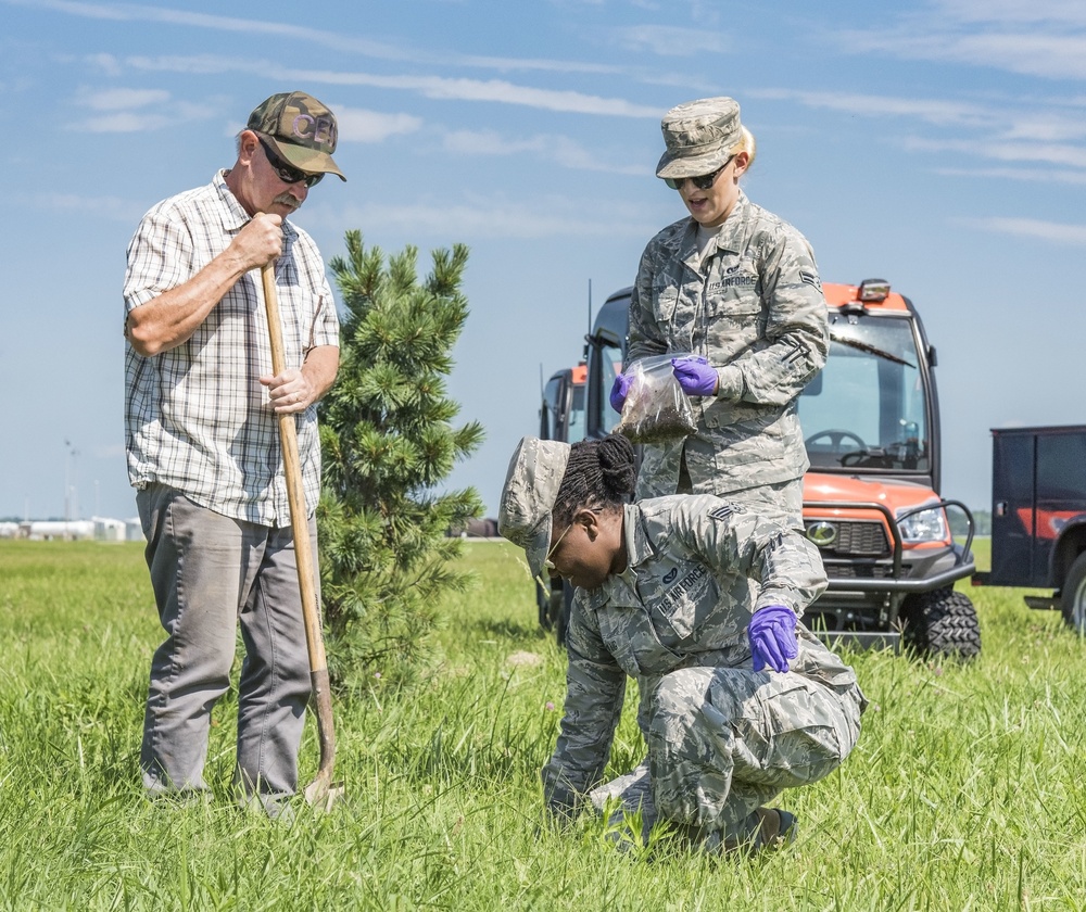 USDA, Dover AFB partner for Japanese beetle infestation control test