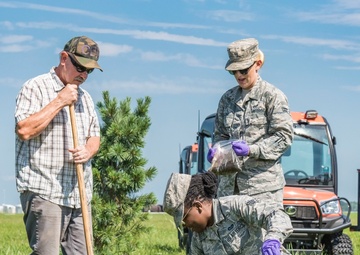 USDA, Dover AFB partner for Japanese beetle infestation control test