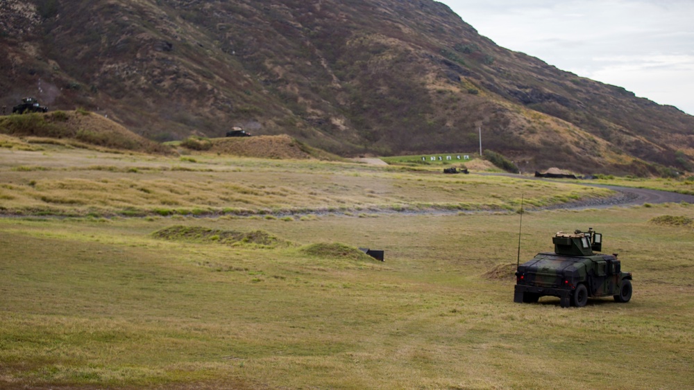 3/3 Weapons Company suppress and maneuver down range