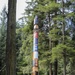 New Totem Pole on Prince of Wales Island honors Alaska’s veterans