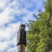 New Totem Pole on Prince of Wales Island honors Alaska’s veterans