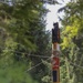 New Totem Pole on Prince of Wales Island honors Alaska’s veterans