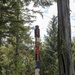 New Totem Pole on Prince of Wales Island honors Alaska’s veterans