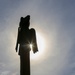 New Totem Pole on Prince of Wales Island honors Alaska’s veterans