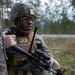 Marines conduct day and night platoon attacks in Norway