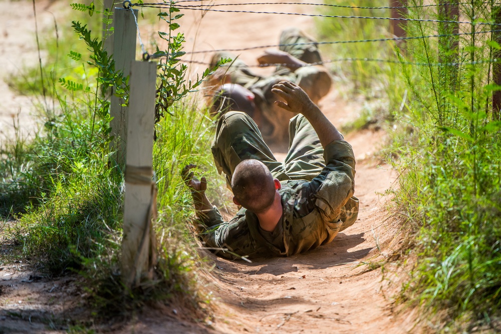 Delta Company 2-19 Obstacle Course