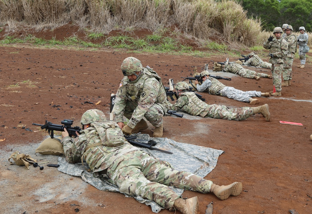 29th Infantry Brigade Combat Team Soldiers participate in annual training to prepare for deployment