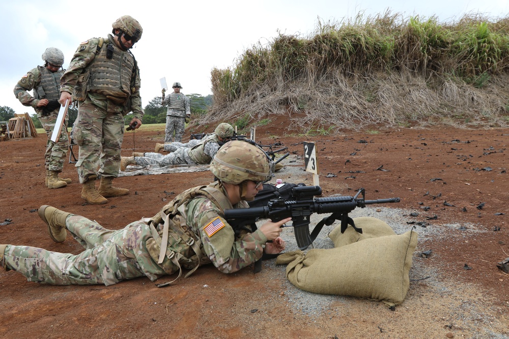 29th Infantry Brigade Combat Team Soldiers participate in annual training to prepare for deployment