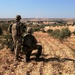 Independent, Coordinated Patrols Outside Manbij