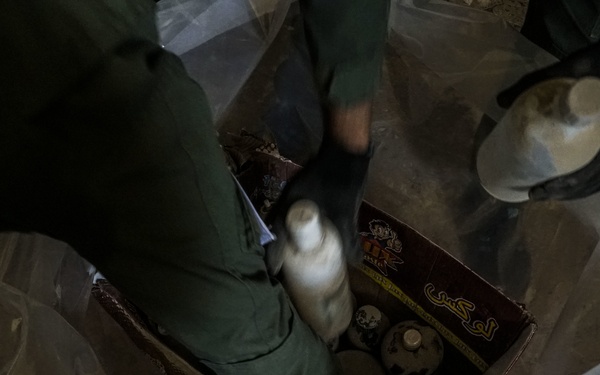 RISF Chemical Removal