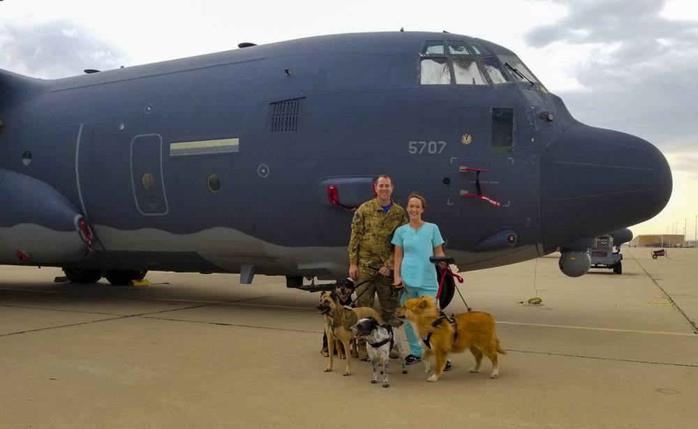 Couple provides support for foster animals