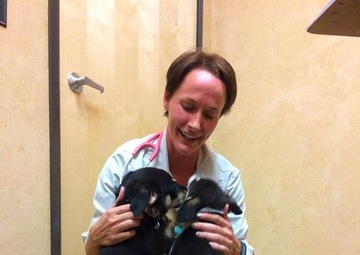 Couple provides support for foster animals