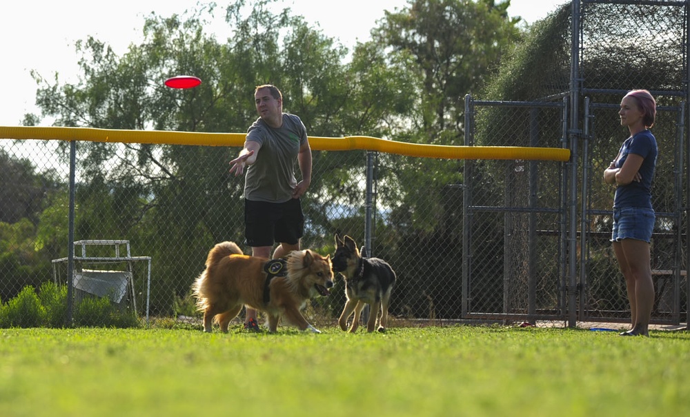 Couple provides support for foster animals