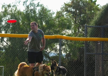 Couple provides support for foster animals