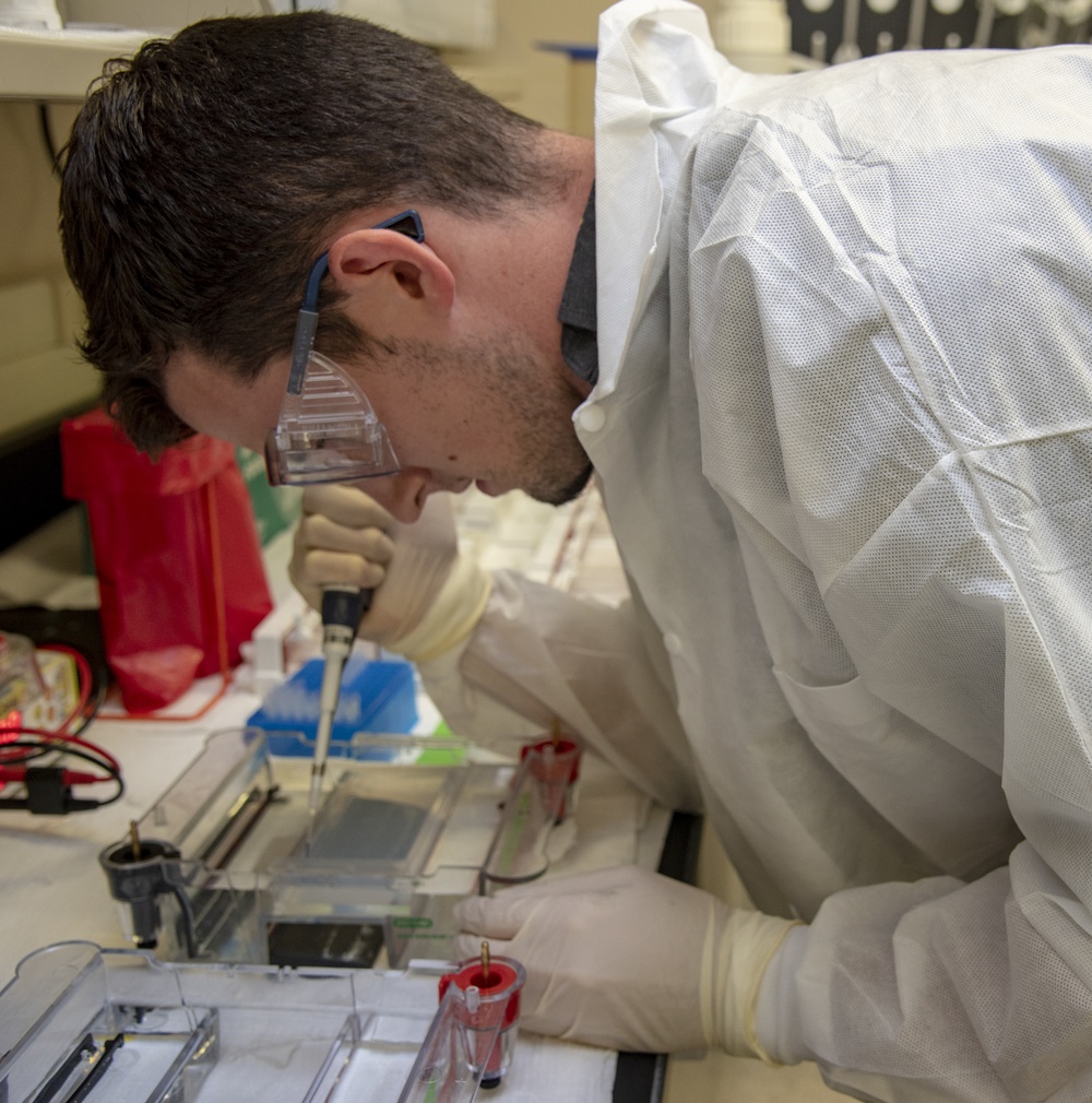 AFMES DOD DNA lab works to identify missing service members