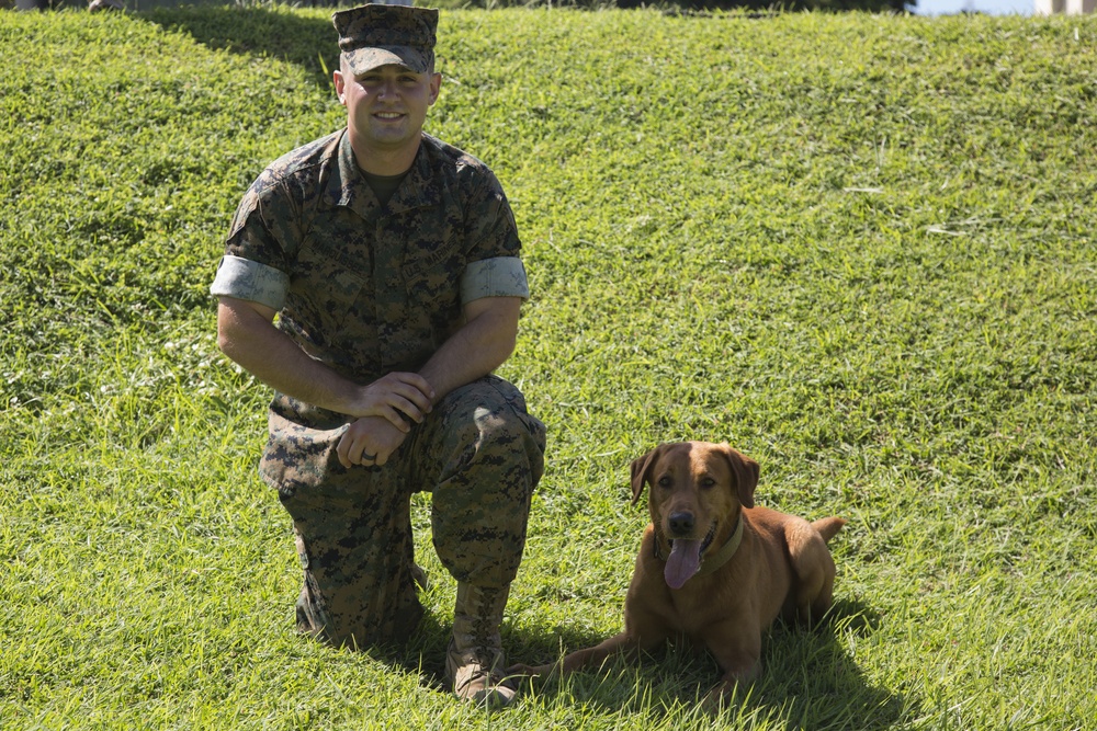 In the Life of Marines: Military Police Working Dog Handler