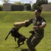 In the Life of Marines: Military Police Working Dog Handler
