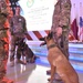 Military working dogs provide AFCENT change of command security