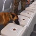 Military working dogs provide AFCENT change of command security