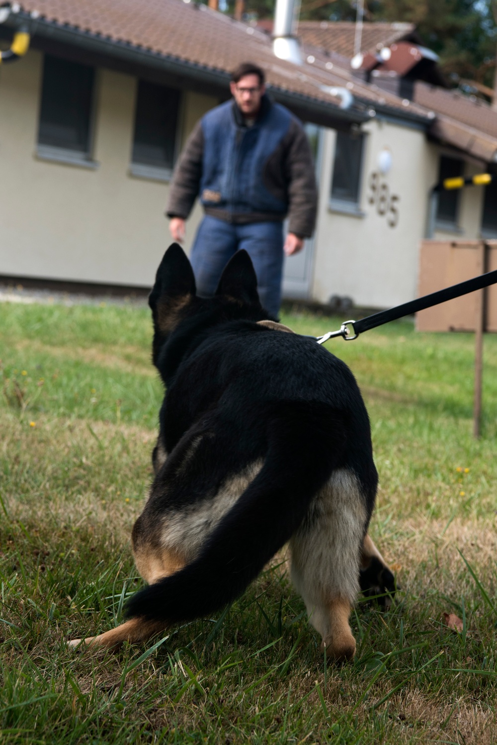 Airmen conduct military working dog training