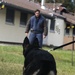 Airmen conduct military working dog training