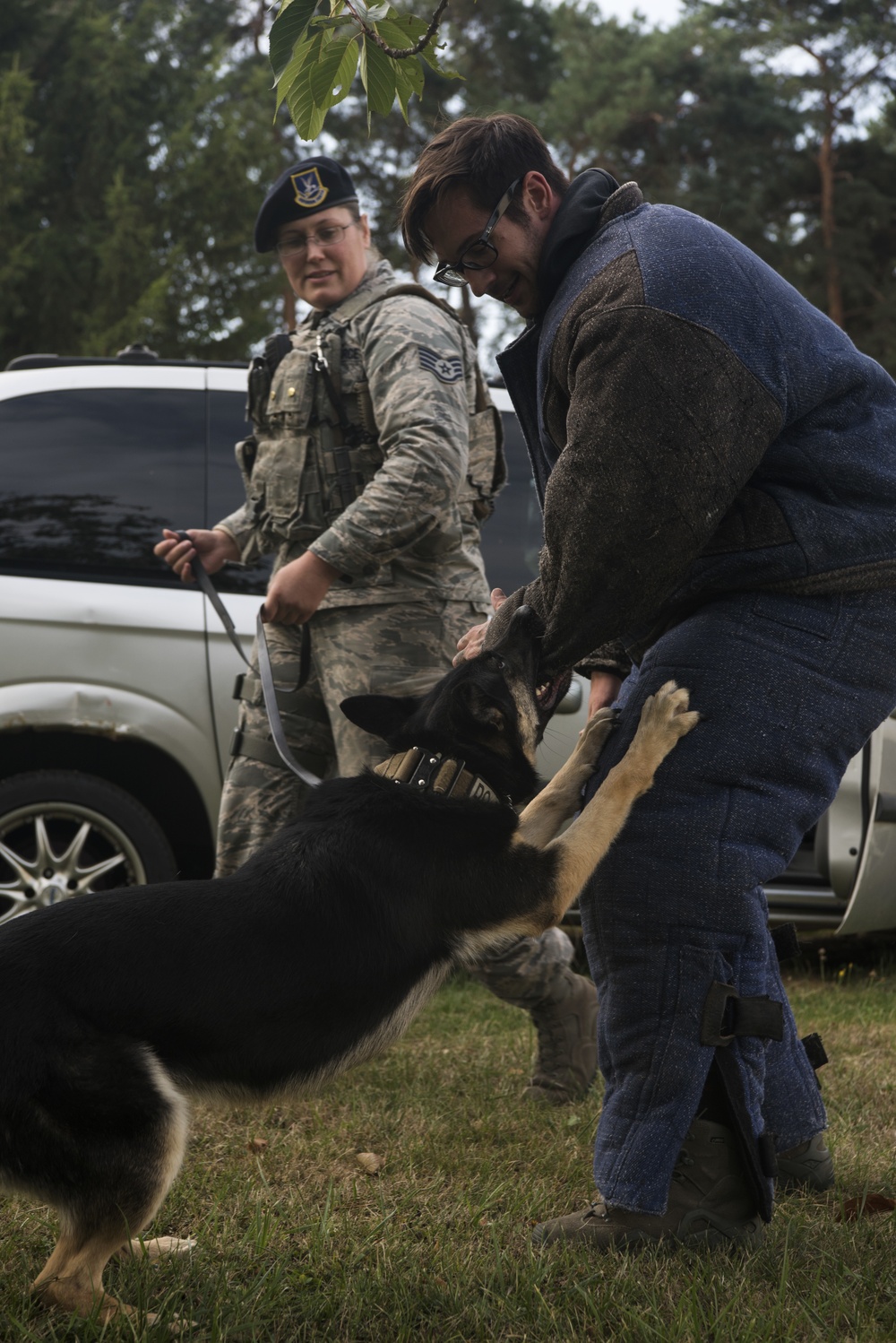 Airmen conduct military working dog training