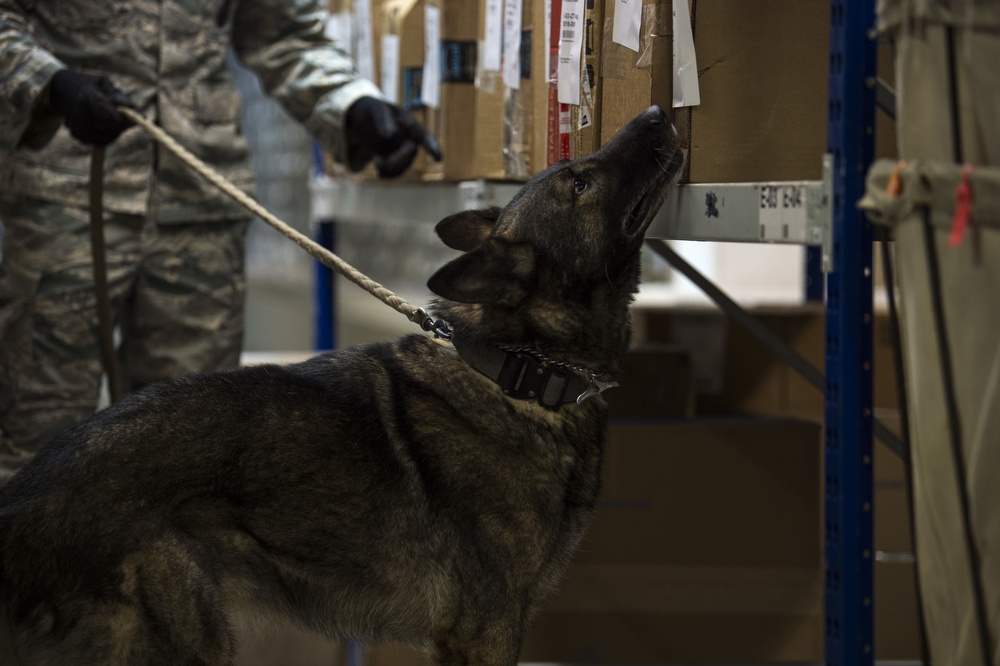 Airmen conduct military working dog training