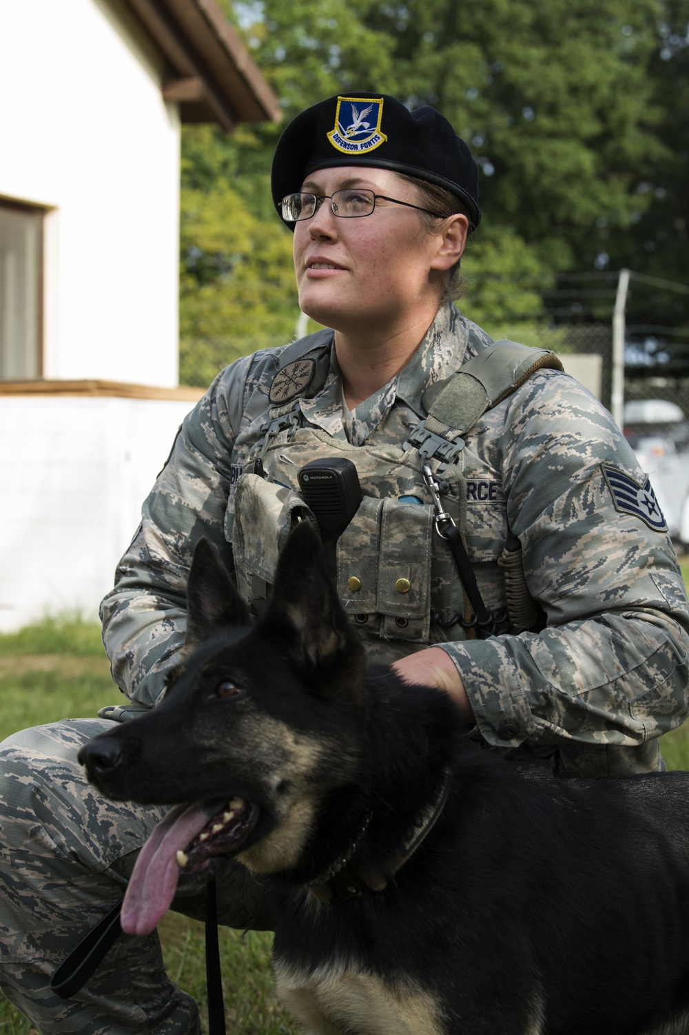 Airmen conduct military working dog training