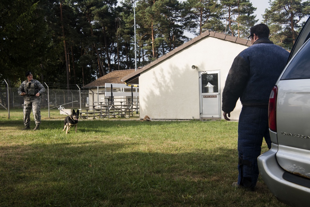 Airmen conduct military working dog training