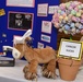 NMCP Holds Cancer Research Rodeo
