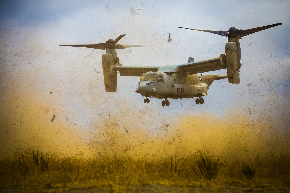 I Marine Expeditionary Force Support Battalion Field Exercise