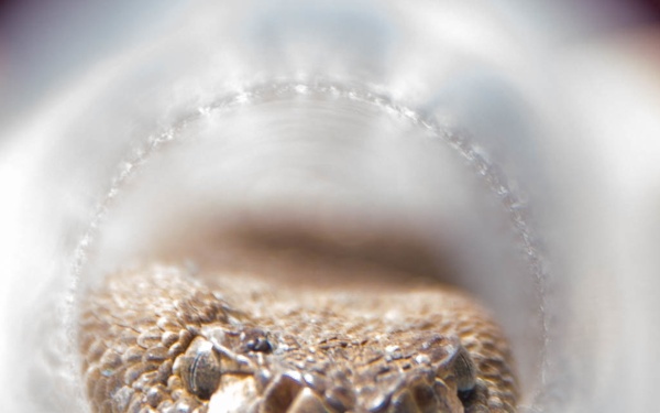 Game Wardens protect wildlife