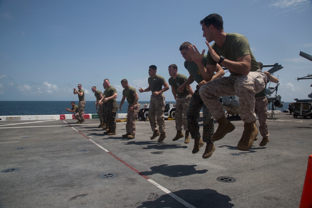 Marine Corps Martial Arts Program Class