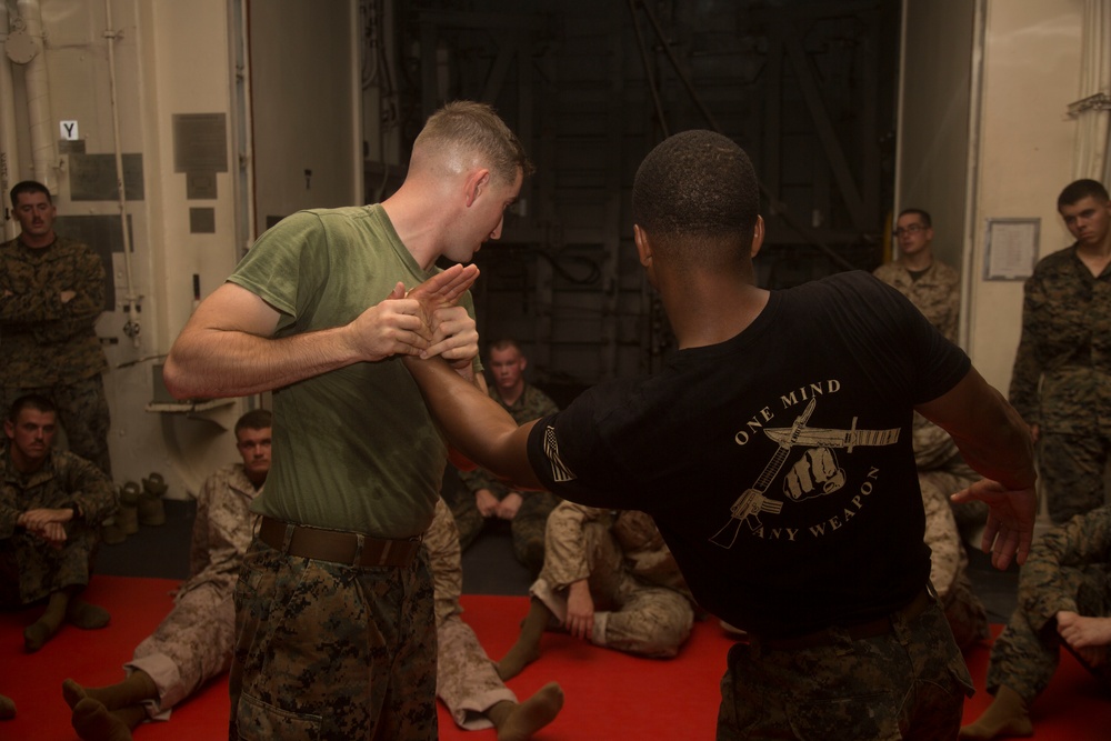 Marine Corps Martial Arts Program Class