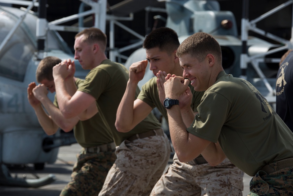 Marine Corps Martial Arts Program