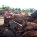 Debris Inspection