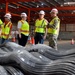 Wearhouse Operations